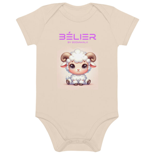 Organic Cotton Baby Bodysuit Organic Natural Front 65cb510043062.jpg