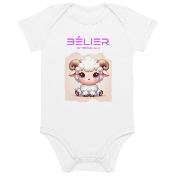 Organic Cotton Baby Bodysuit White Front 65cb51004313b.jpg