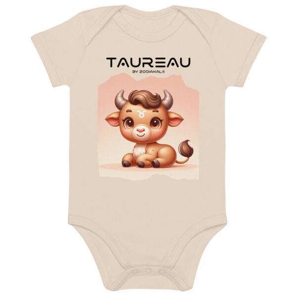 Organic Cotton Baby Bodysuit Organic Natural Front 65edace904397.jpg