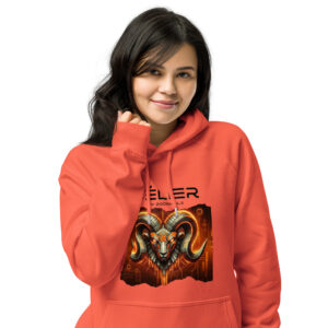 Unisex Eco Raglan Hoodie Burnt Orange Front 65f987a4f3f69.jpg