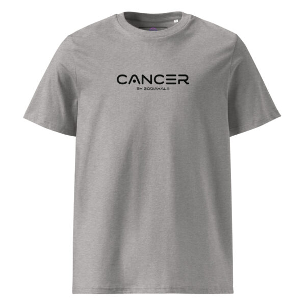 Unisex Organic Cotton T Shirt Heather Grey Front 65fd7ece7c120.jpg