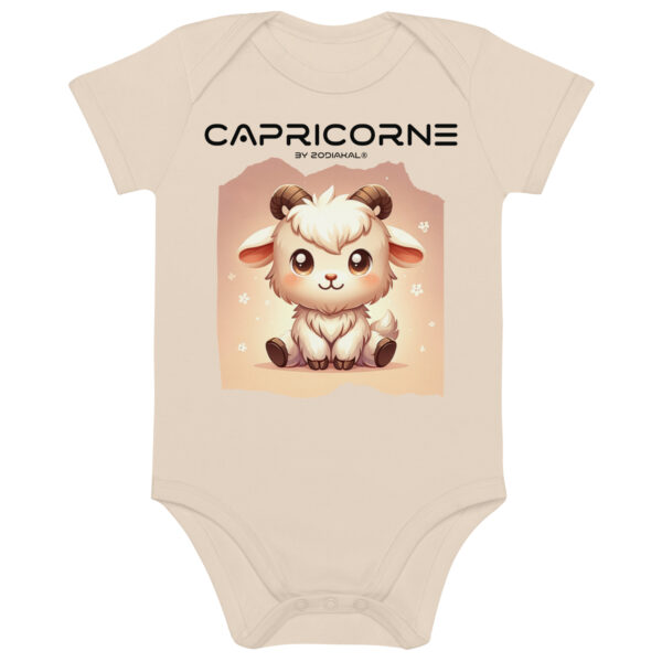 Organic Cotton Baby Bodysuit Organic Natural Front 660ad5882e9a0.jpg