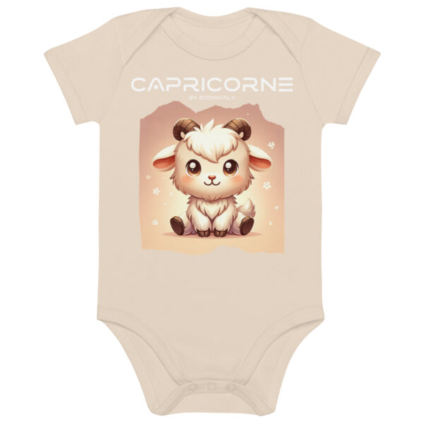 Organic Cotton Baby Bodysuit Organic Natural Front 660ad5e590ef0.jpg